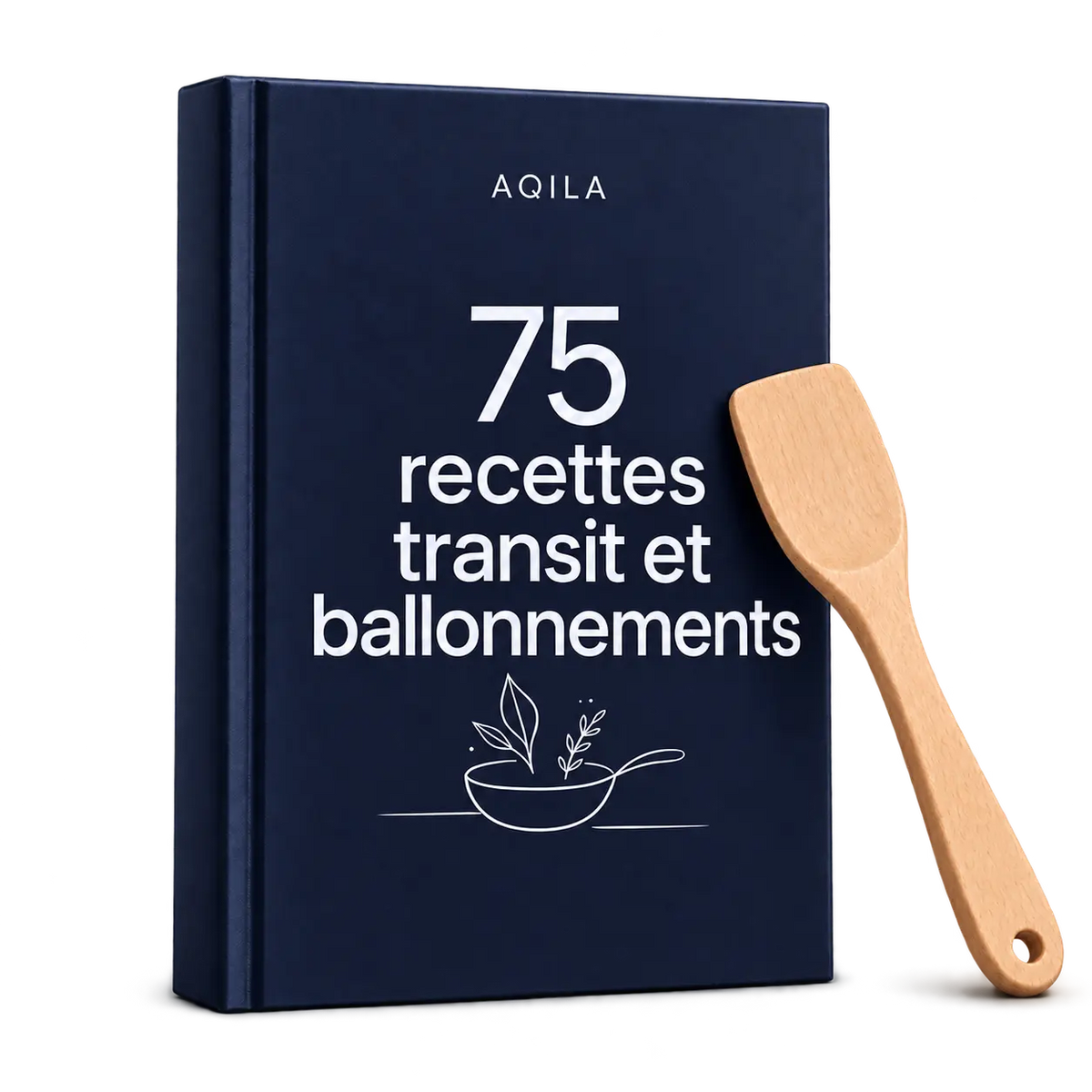 75 recettes transit & ballonnements