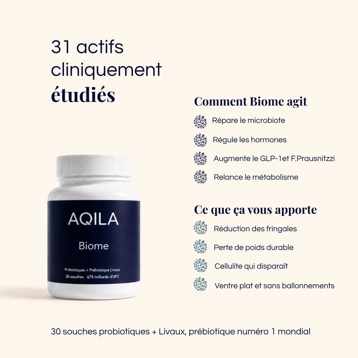 Biome | Synbiotique Minceur