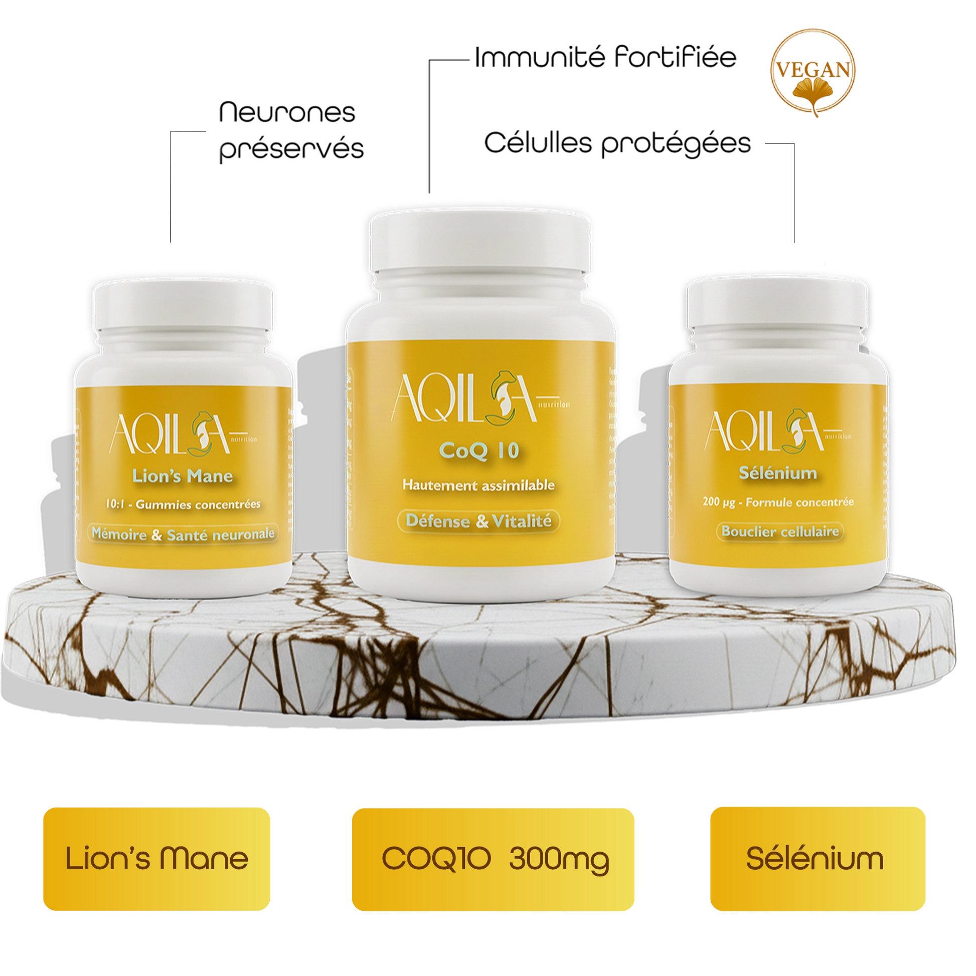 Image illustration carte de collection cure Défense et Clarté Aqila