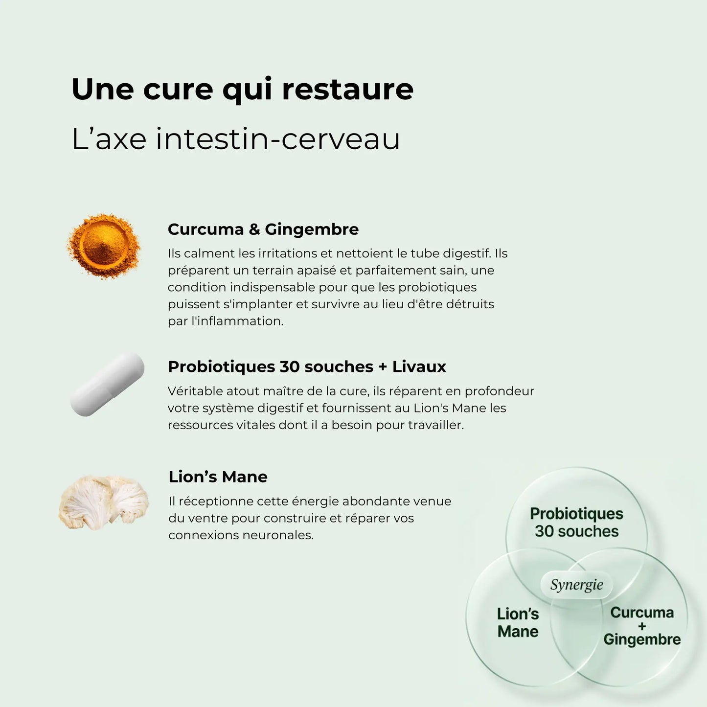 Cure Digestion & Énergie Aqila - Synergie de 3 compléments alimentaires pour l'axe intestin-cerveau : Probiotiques 30 souches, Lion's Mane et Curcuma Gingembre - 3 compléments vegan pour des effets maximisés sur la digestion et l'énergie