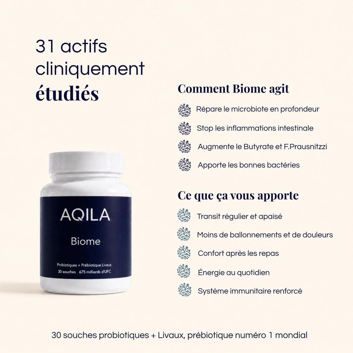 Affiche AQILA présentant Biome, un complément alimentaire associant 30 souches probiotiques au prébiotique Livaux, avec un flacon blanc à étiquette bleu nuit sur fond crème. Le titre indique « 31 actifs cliniquement étudiés ». À droite, la rubrique «Comment Biome agit » présente des messages sur le microbiote intestinal, les inflammations intestinales, le butyrate, la bactérie Faecalibacterium prausnitzii et l’apport de bonnes bactéries. La rubrique «Ce que ça vous apporte» annonce un transit régulier. webp