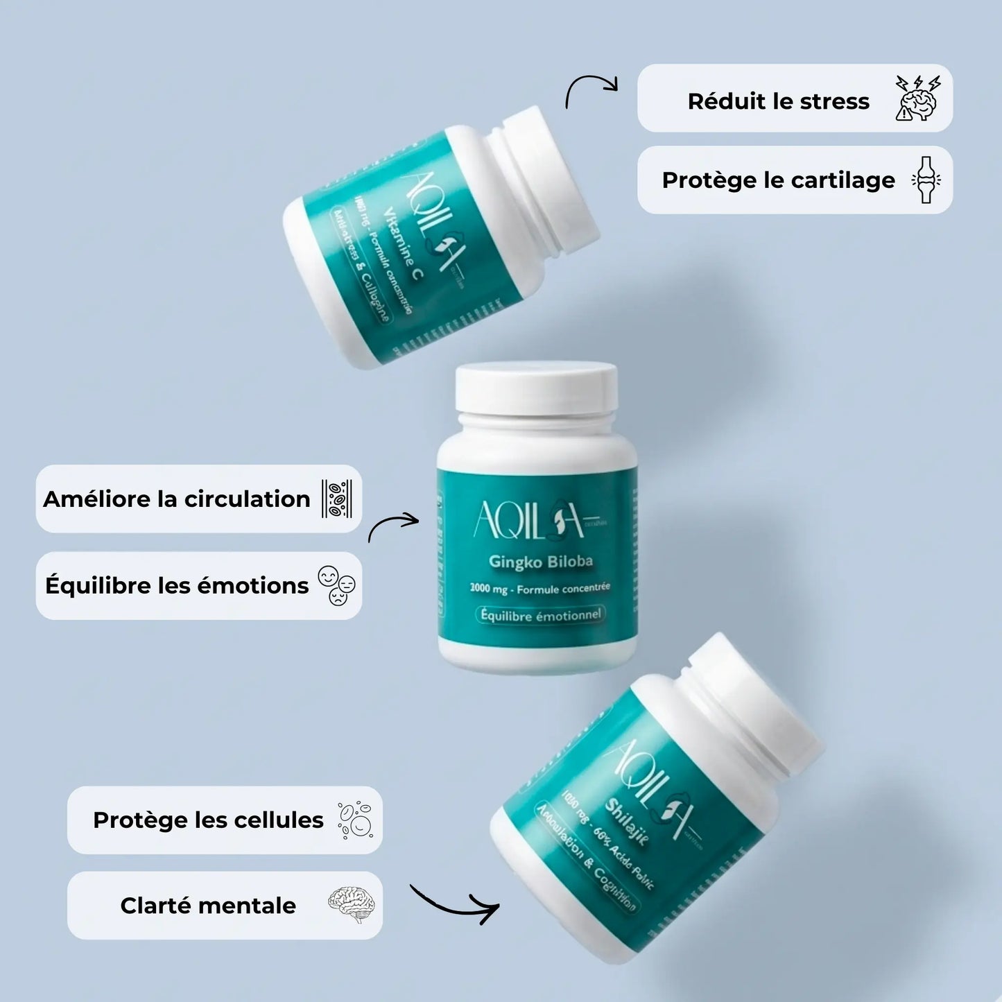 Bénéfices de la cure AQILA - Gingko Biloba améliore la circulation et l'humeur, Vitamine C réduit le stress et protège le cartilage, Shilajit clarté mentale et protège les cellules

