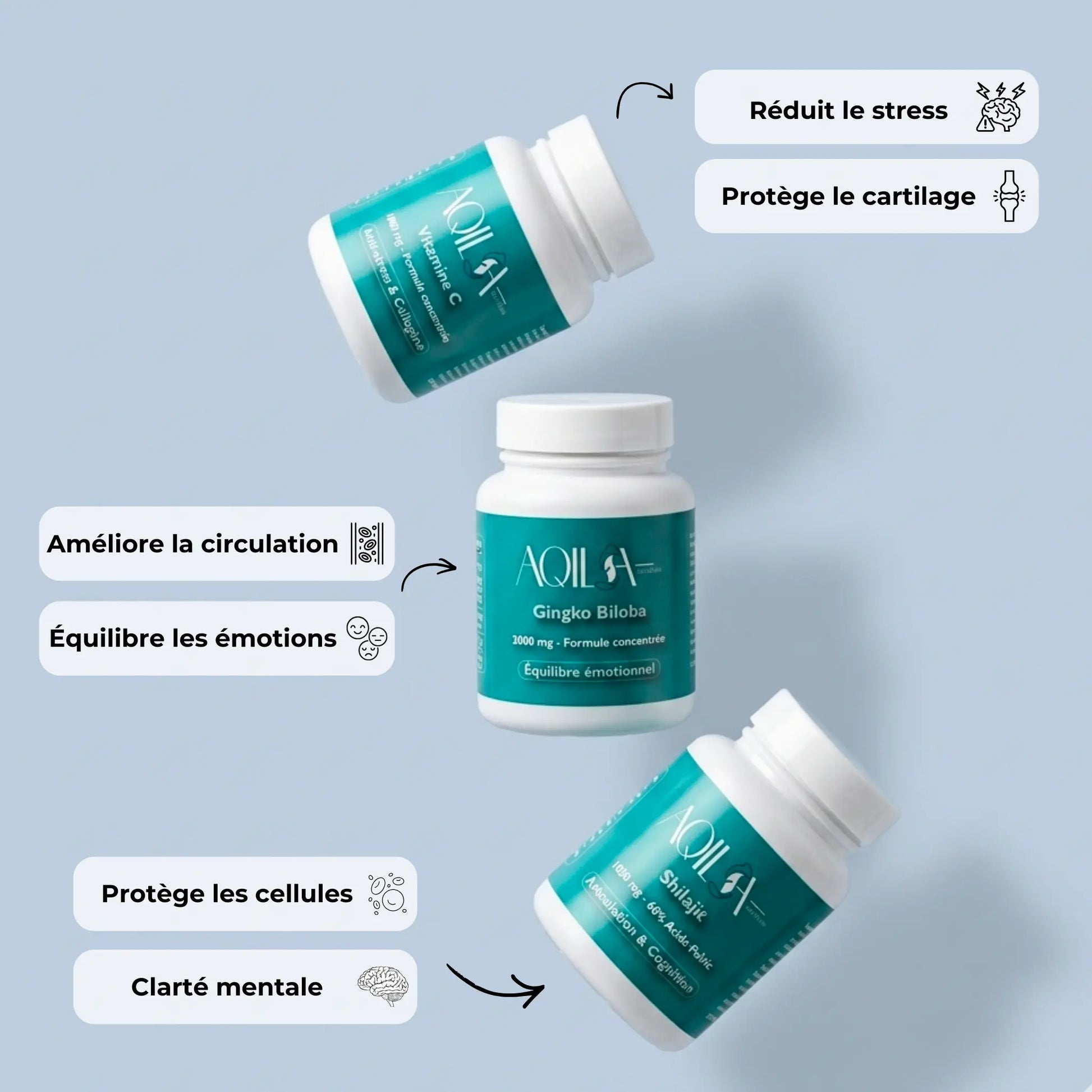 Bénéfices de la cure AQILA - Gingko Biloba améliore la circulation et l'humeur, Vitamine C réduit le stress et protège le cartilage, Shilajit clarté mentale et protège les cellules
