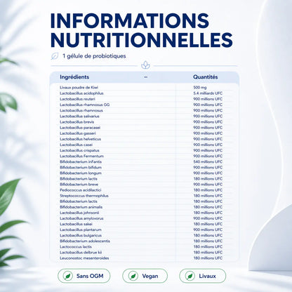 Composition complète probiotiques AQILA — Livaux poudre de kiwi 500mg, 30 souches dont Lactobacillus acidophilus, rhamnosus GG, helveticus, Bifidobacterium longum, vegan sans OGM, 22,5 milliards UFC
