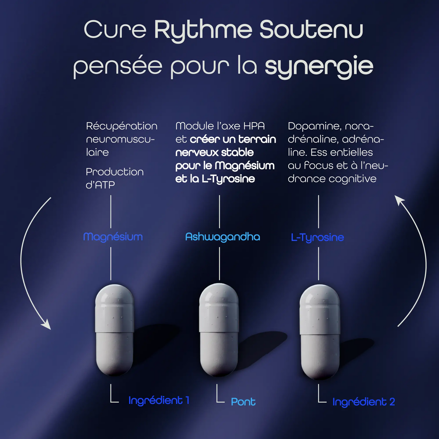 Synergie du magnésium, de l’ashwagandha et de la L-tyrosine dans la cure Rythme Soutenu AQILA pour un rythme soutenu