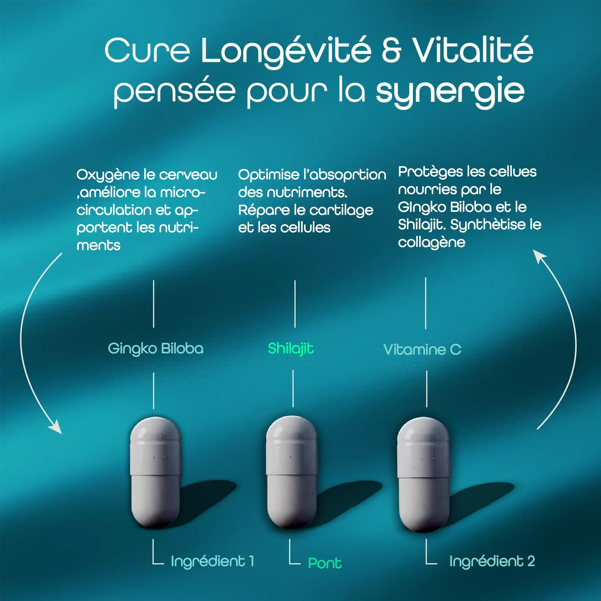 Illustration montrant la synergie du Gingko Biloba, du Shilajit et de la Vitamine C dans la cure Longévité & Vitalité AQILA.