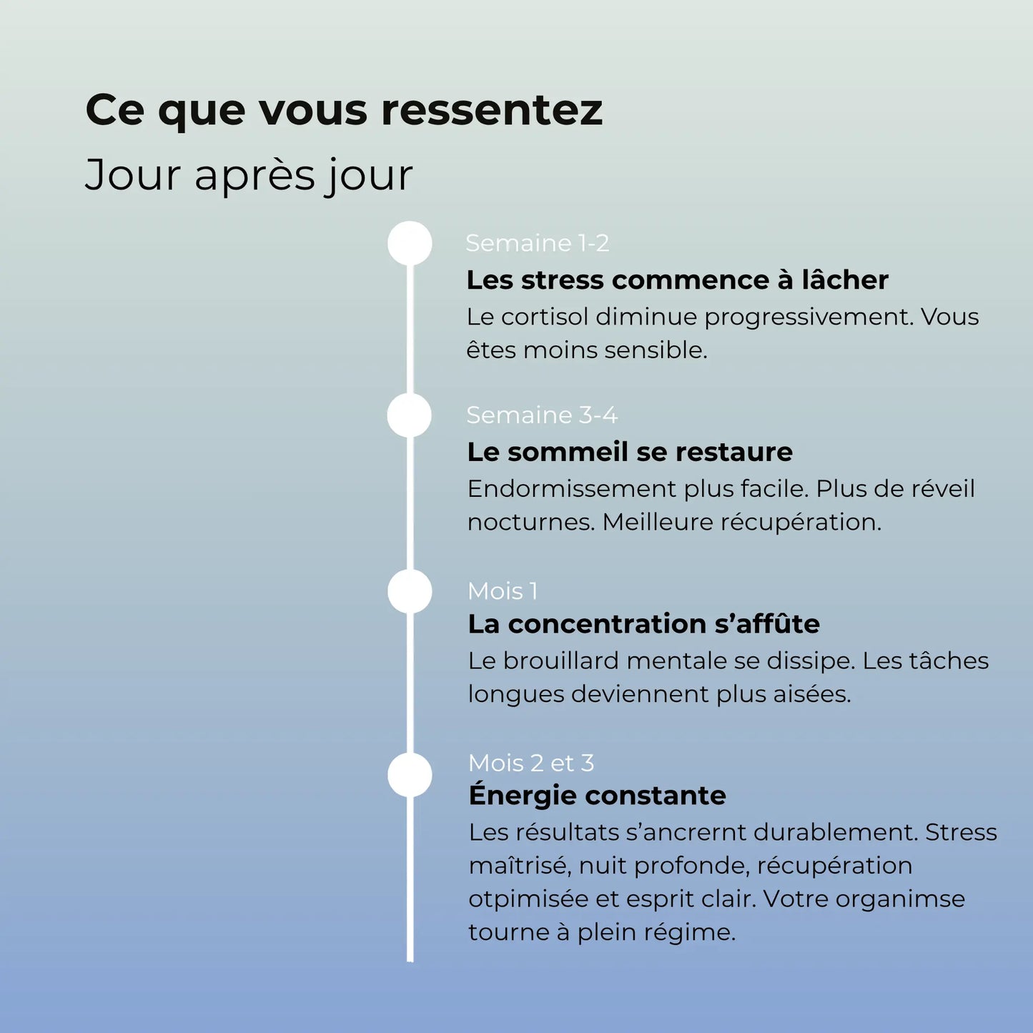 Chronologie des effets ressentis de l'Ashwagandha Aqila : baisse du stress, restauration du sommeil, concentration et énergie constante au fil des mois.