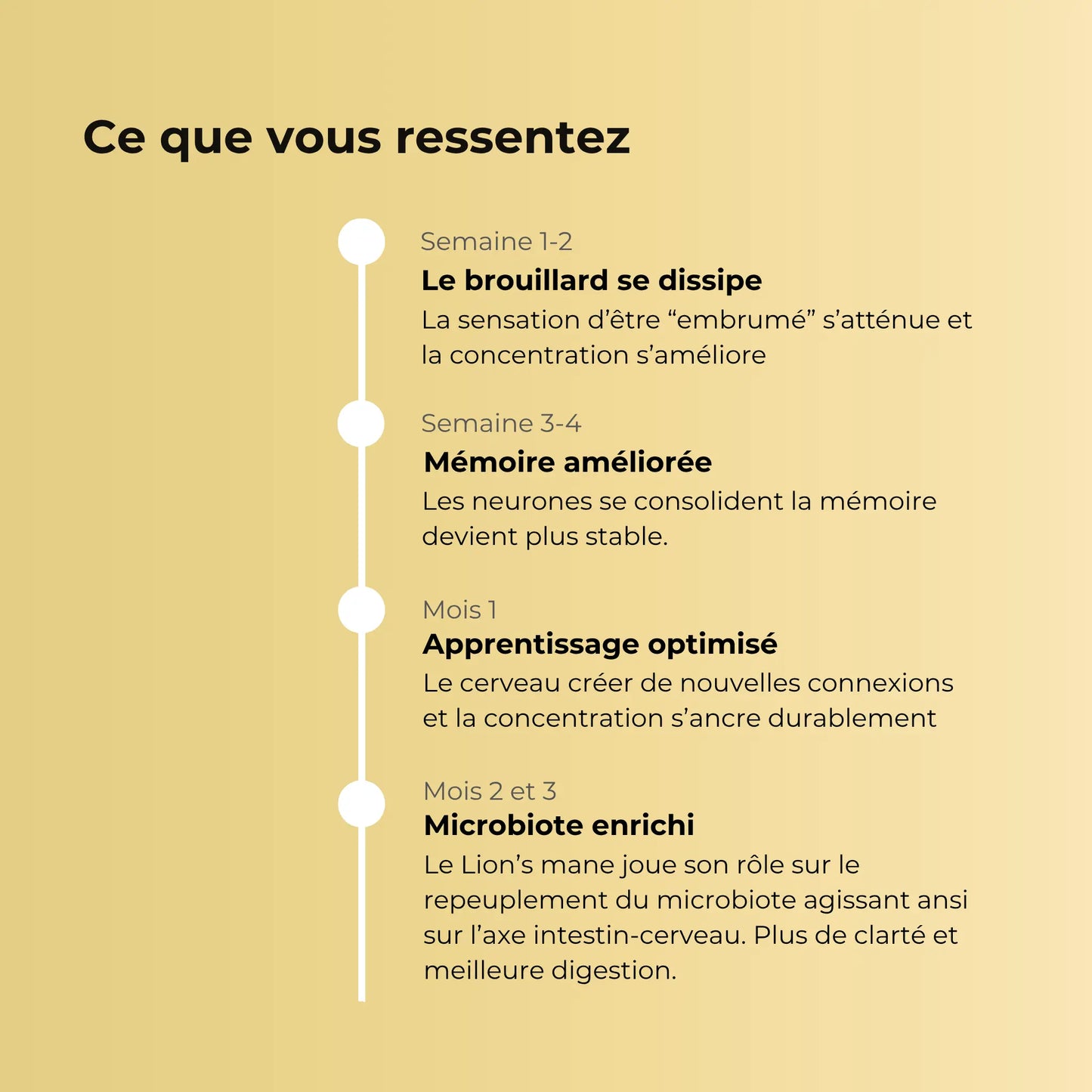 Évolution des effets ressentis lors d'une cure de Lion's Mane Aqila : dissipation du brouillard mental, mémoire améliorée, apprentissage optimisé et microbiote enrichi.