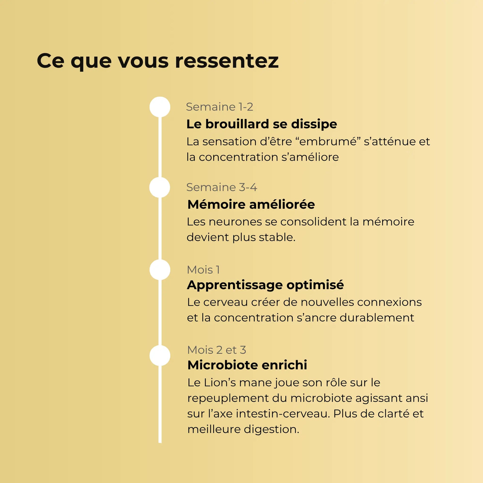 Évolution des effets ressentis lors d'une cure de Lion's Mane Aqila : dissipation du brouillard mental, mémoire améliorée, apprentissage optimisé et microbiote enrichi.