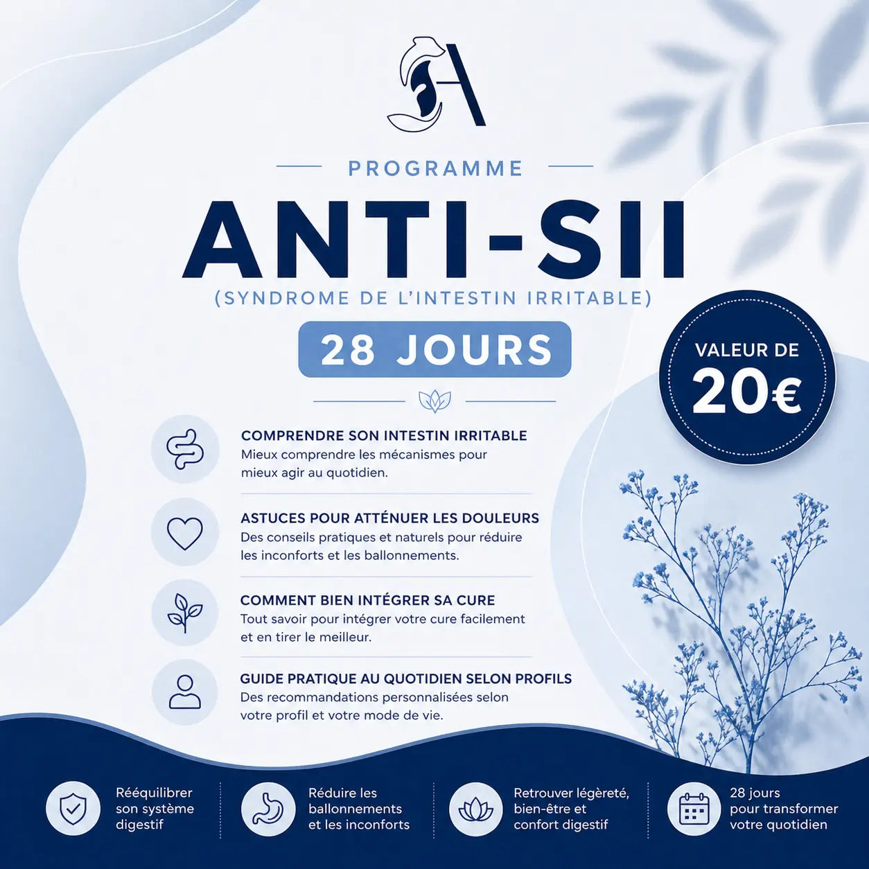 Programme anti intestin irritable AQILA