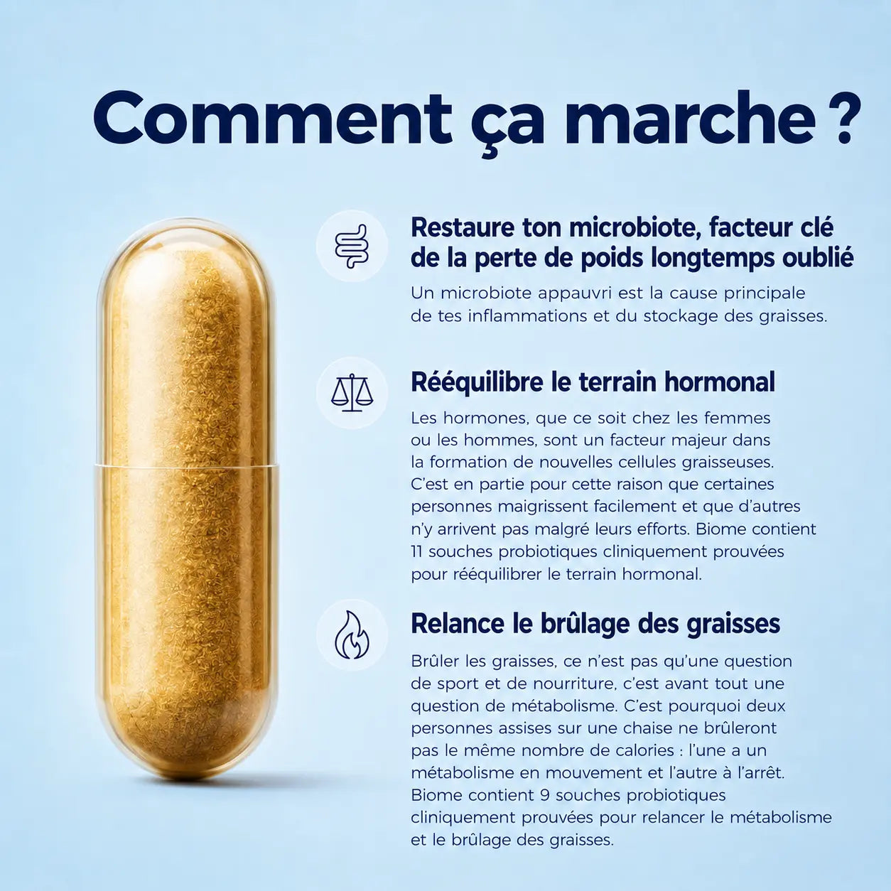 Biome | Synbiotique Minceur