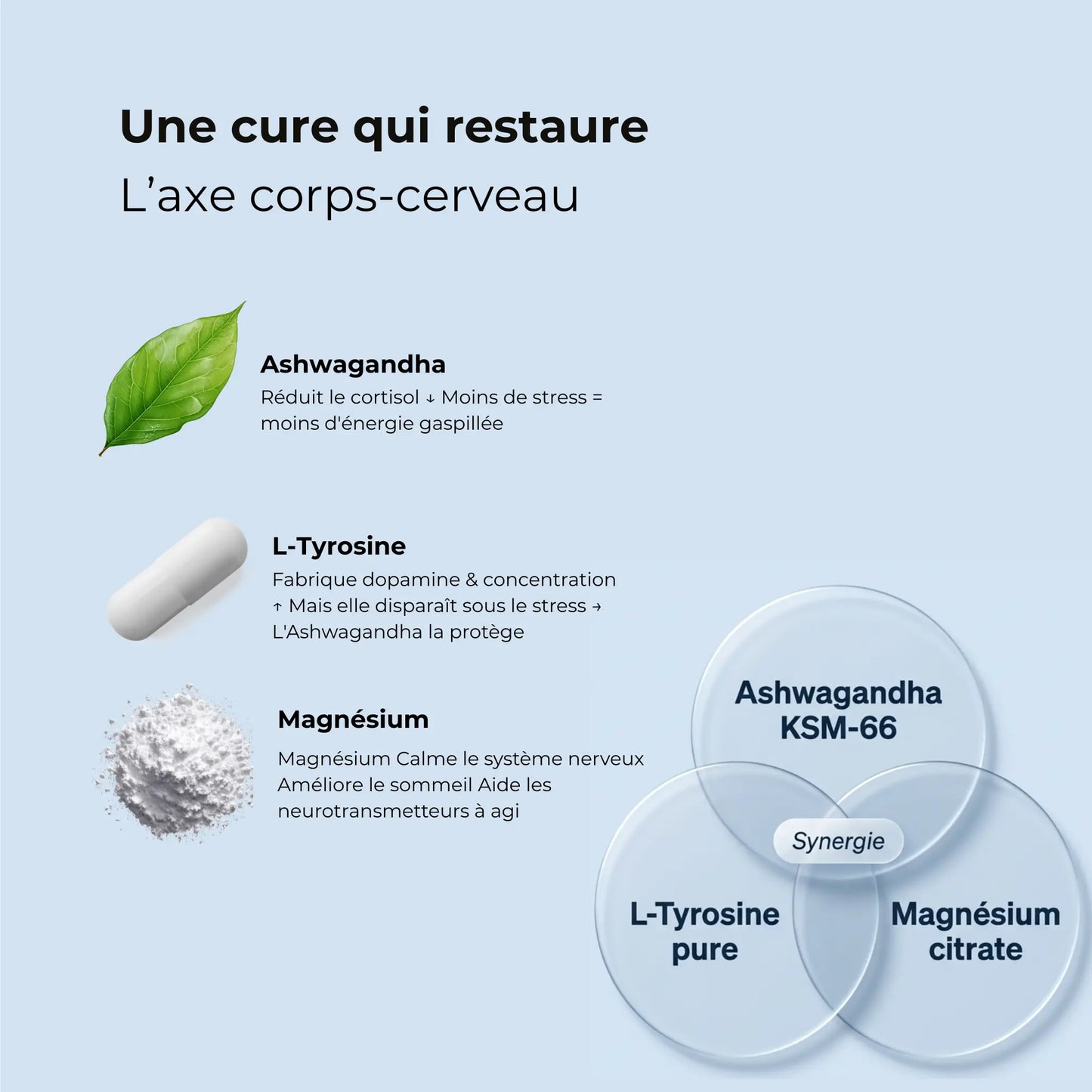 Infographie synergie cure Stress & Récupération AQILA — Ashwagandha KSM-66 réduit le cortisol, L-Tyrosine pure fabrique dopamine et concentration, Magnésium citrate calme le système nerveux et améliore le sommeil, axe corps-cerveau