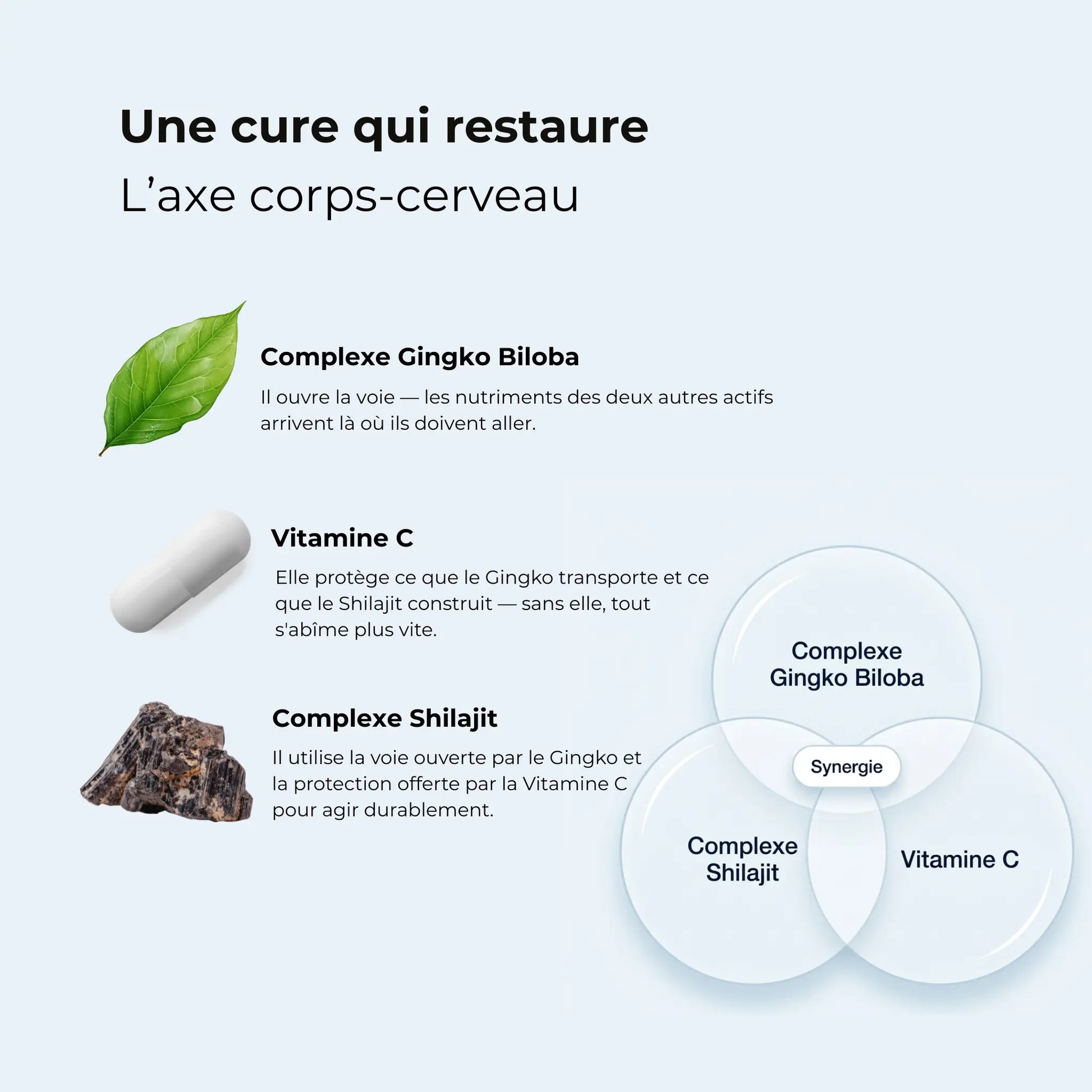 Synergie corps-cerveau AQILA Nutrition - Complexe Gingko Biloba, Vitamine C et Shilajit - Cure qui restaure l'axe corps-cerveau